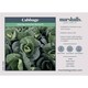 image 4 of Marshalls Garden Cabbage Seeds Spring Greens Verve F1 (30 Seeds) | Green | Dark Green
