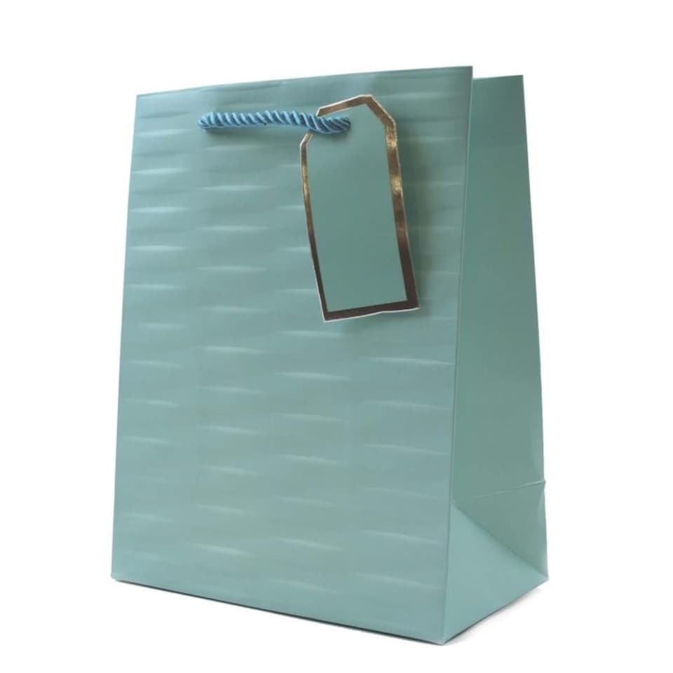 image 1 of Embossed Bright Coloured Medium Gift Bag