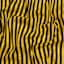 Yellow & Black