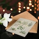 image 4 of Sarah Featon Art Card Native New Zealand Wildflowers Illustration