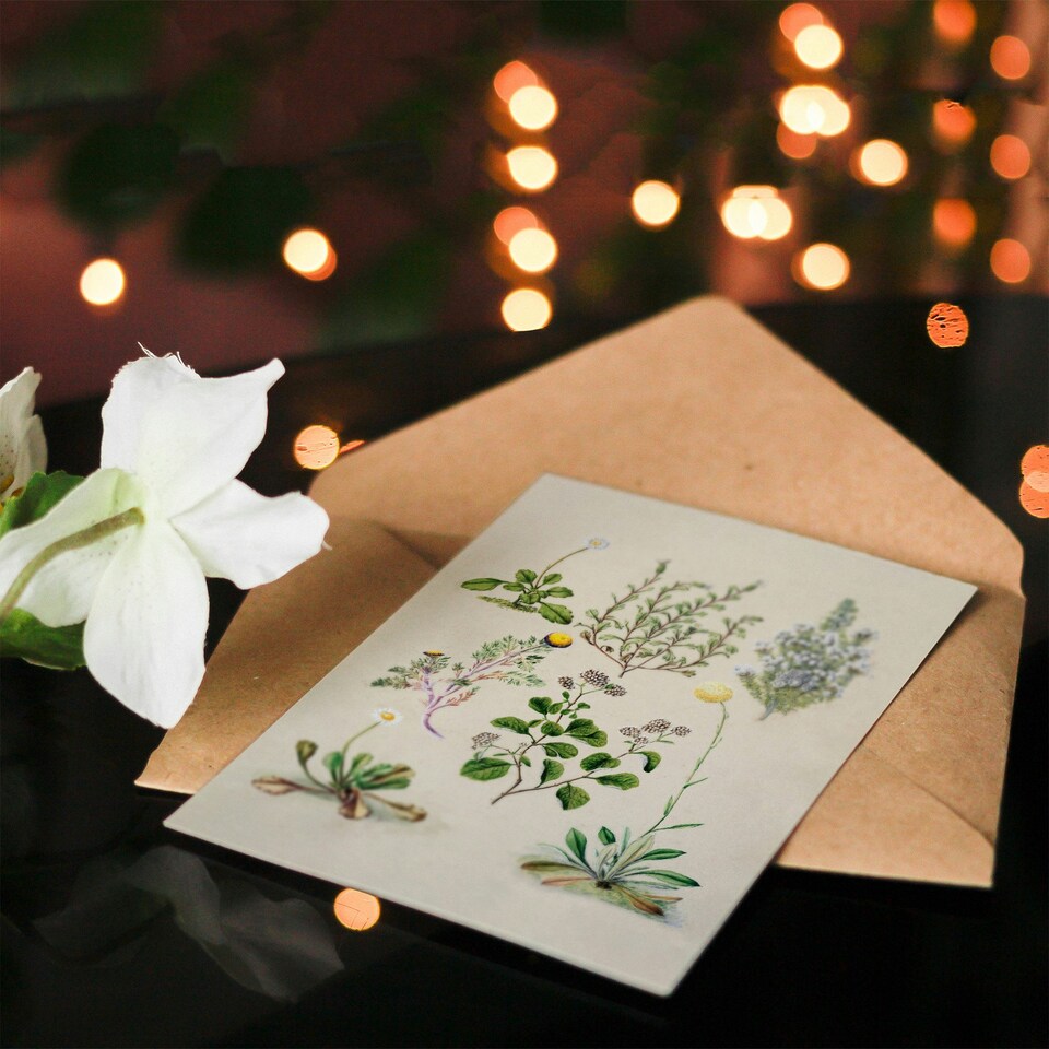 image 1 of Sarah Featon Art Card Native New Zealand Wildflowers Illustration
