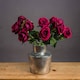 image 3 of Rose Artificial Flower - Plastic - L6 x W9 x H53 cm - Deep Red