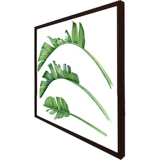 Triple botanical (Picture Frame) Brown | S