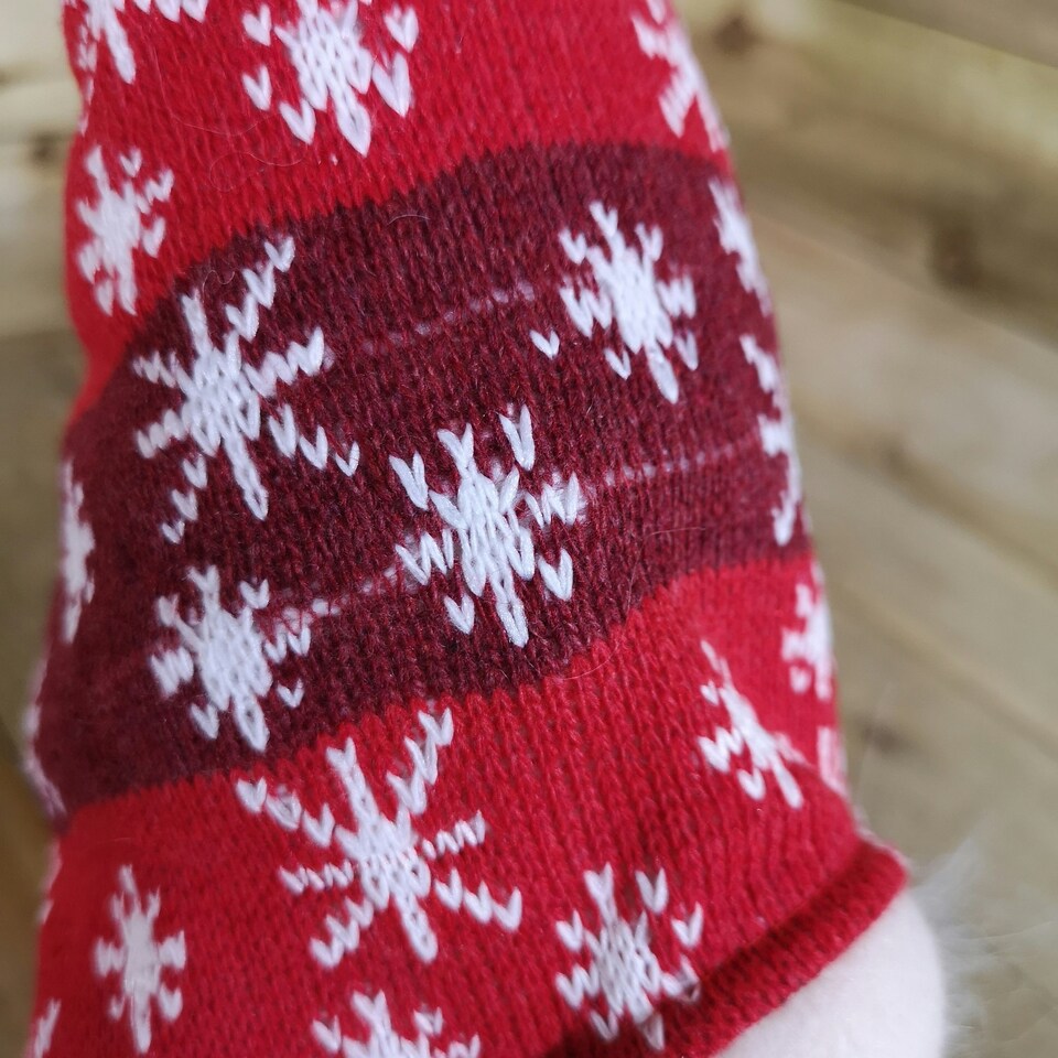 image 1 of Festive Christmas 66cm LED Lit Snowflake Sitting Gonk - Red