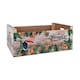 image 2 of Table Mat Confortime Paradise Wood Tropical 58 x 39 x 21 cm (3 Units) N/A