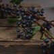 image 5 of Hill Interiors Artificial Faux Viburnum Berry Spray - Blue/Green/Brown - 80cm