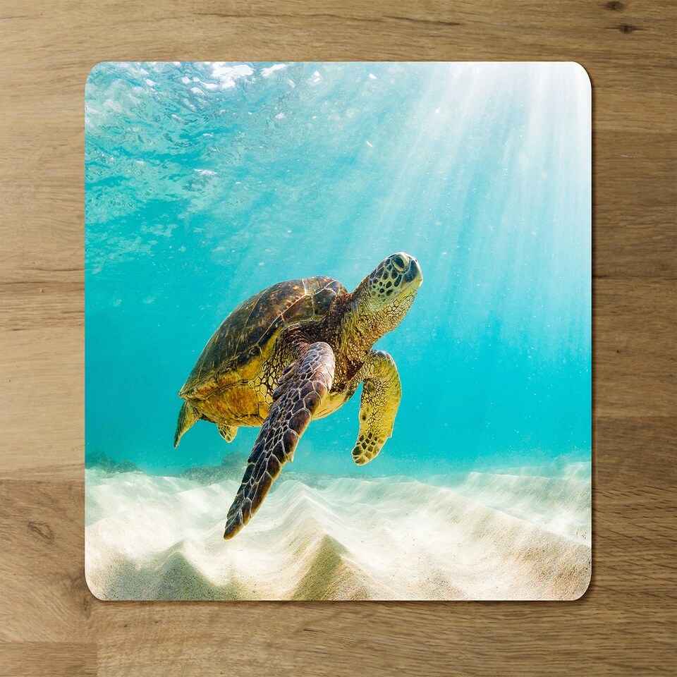 image 1 of photo of Sea turtle in the Galapagos island (Placemat & Coaster Set)