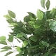 image 4 of 60cm Leaf Realistic Artificial Ficus Tree / Plant | Green | 2ft