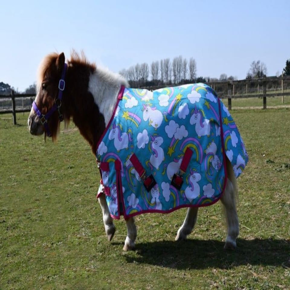 image 1 of Rhinegold Unicorn Torrent Outdoor Rug