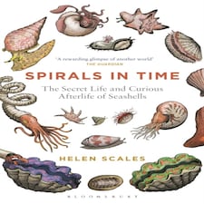 Spirals In Time