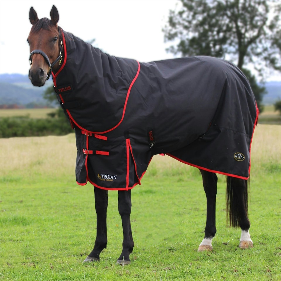 Gallop Equestrian Trojan 200 Dual Turnout Rug & Neck Set Red | Size: 6ft 6
Colour: Navy/Red
