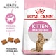 image 1 of Royal Canin Feline Health Nutrition Sterilised Kitten Dry Food - 3.5 kg | Multi | 3.5kg | Lamb, Wild Boar | 1