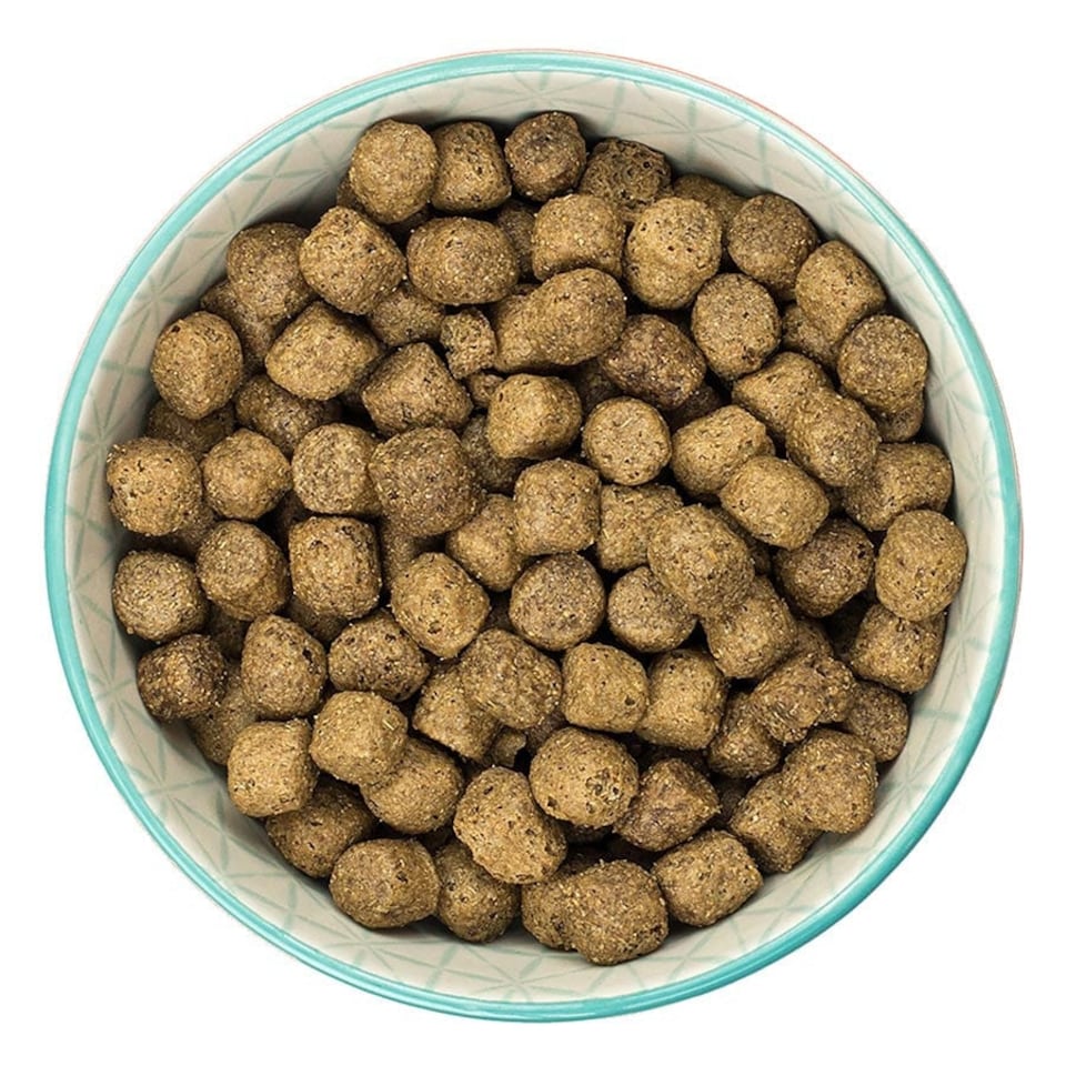 image 1 of Burns Original Chicken & Brown Rice Hypoallergenic Adult & Senior Dry Dog Food - 2 kg