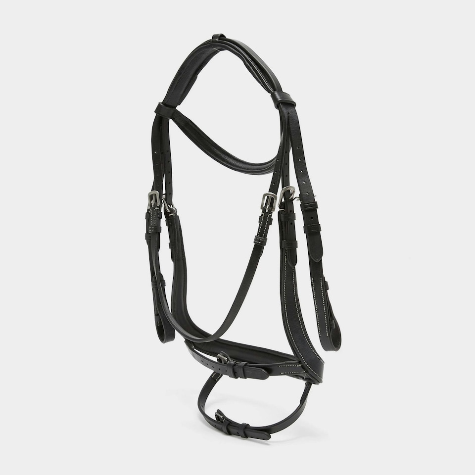 image 1 of Salisbury Buckingham Leather Horse Bridle - Black - Cob