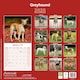 image 2 of Greyhound 2026 Calendar | Square Wall Calendar | Dog Breed Gift | Plastic Free Packaging | by Avonside Publishing