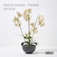 image 2 of Homescapes White Orchid 62 cm Phalaenopsis in Ceramic Pot Extra Large, 5 Stems