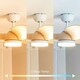 image 2 of ValueLights Ceiling Fans Dimmable Oak Effect Natural Ceiling Fan Light with White Shade and Integrated LED 24W Neutral White 6500K Bulb