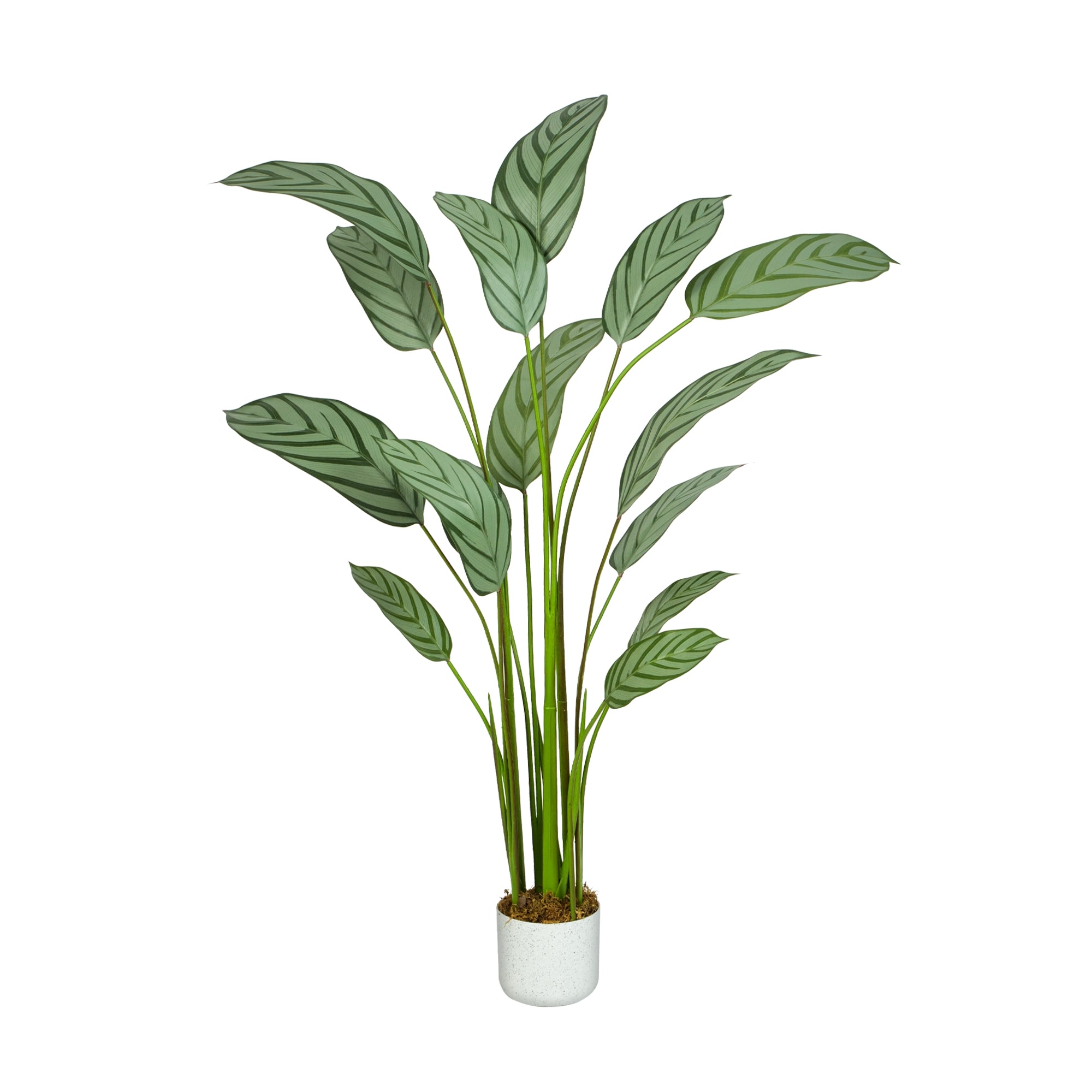 Mcc Direct - Decorative Artificial Bird Of Paradise Tree With Plastic Planter And Artificial Moss 140cm