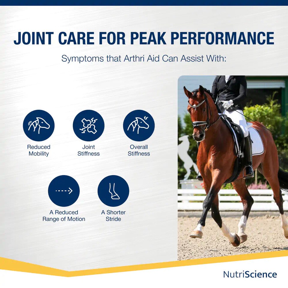 image 1 of NutriScience Arthri Aid Equine Liquid