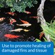 image 2 of 473ml API Pond Melafix Natural Botanical Treatment for Bacterial Infections in Pond Fish Pond Water Treatment