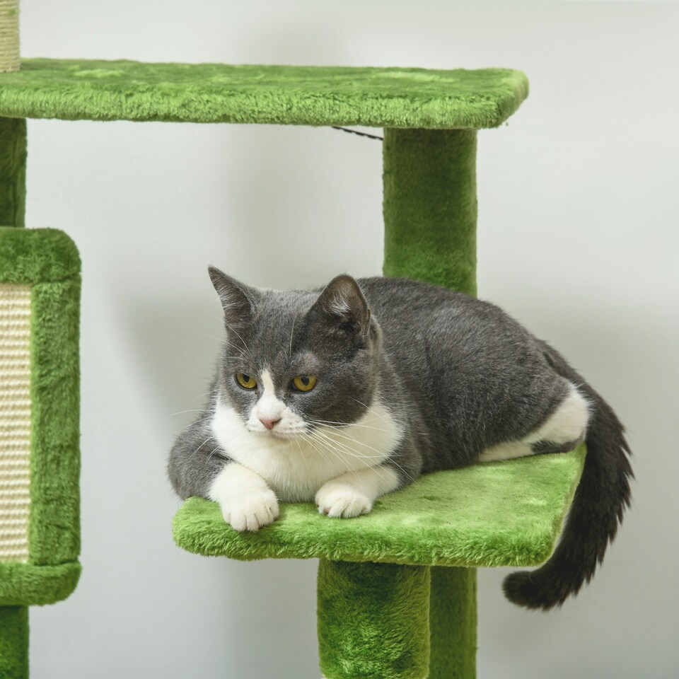 image 1 of PawHut 142cm Cat Tree with Scratch Posts Hammock Platforms Toy Balls, Green