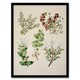 image 1 of Sarah Featon Framed Wall Art New Zealand Gaultheria Flowering Plant Home Décor