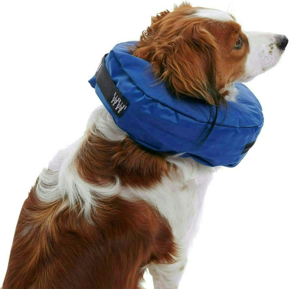 image 1 of Buster Inflatable Collar XL