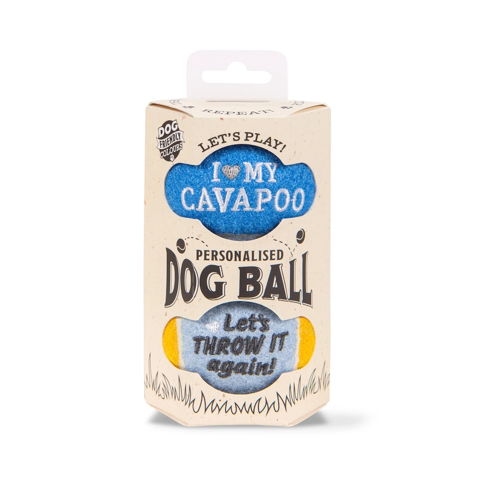 image 1 of Pre-Personalised Dog Balls Gift Pack 2pcs Blue I Love My Cavapoo
