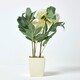 image 6 of Homescapes Cream Artificial Peonies in Decorative Cream Pot, 48 cm Tall