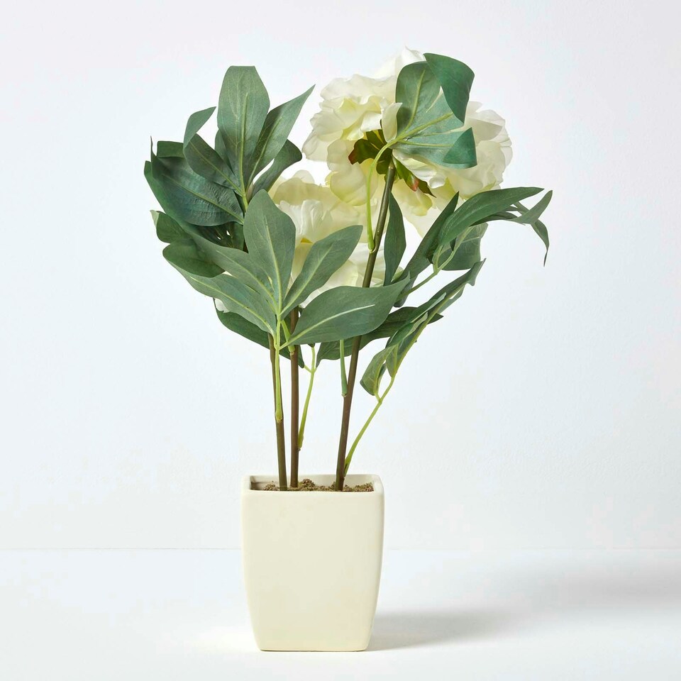 image 1 of Homescapes Cream Artificial Peonies in Decorative Cream Pot, 48 cm Tall