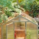 image 9 of Outsunny 6.6 x 6ft Wooden Polycarbonate Greenhouse with Lockable Door, Brown | Brown | Brown | 1