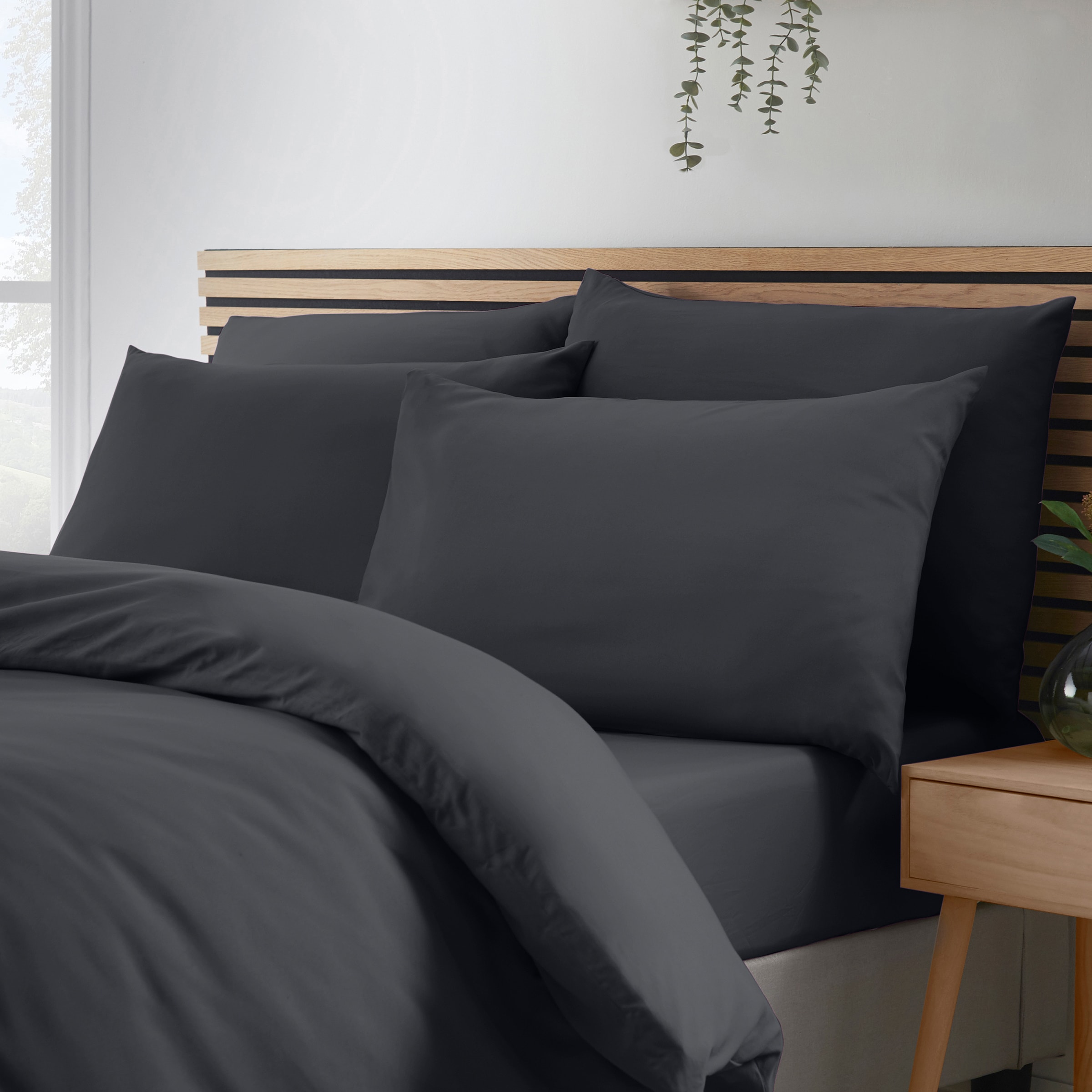 Catherine Lansfield So Soft Non Iron Pillow case with envelope closure 4 Pack in Black | Size: Standard Pillow Case