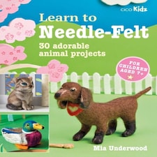 Learn To Needle Felt