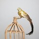 image 3 of Large Decorative Gold Paradise Bird With Clip - 35cm