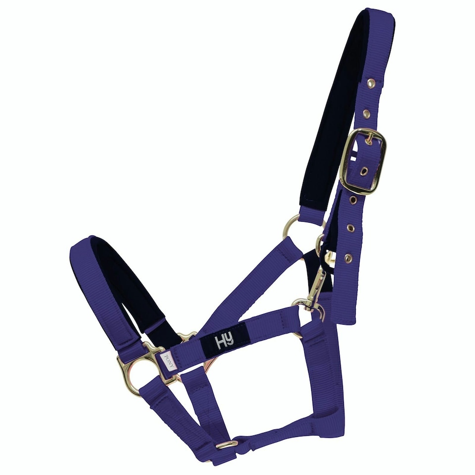 Hy Fieldsafe Head Collar - Navy - Cob