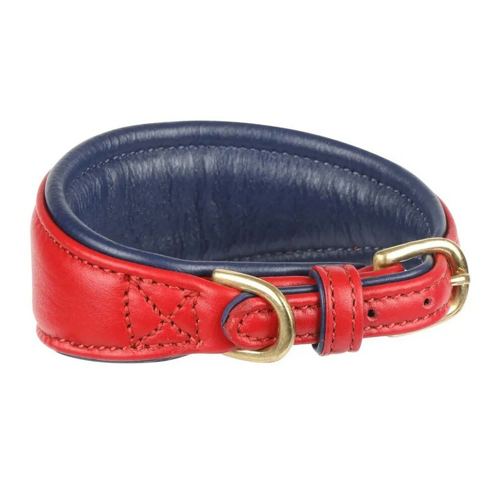 Digby & Fox Leather Padded Greyhound Dog Collar - Scarlet - M - Neckline: 29cm-34cm