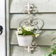 Fleur de Lys Ivory Wall Planter Cream