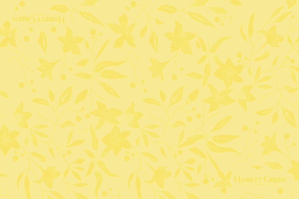 image 1 of Hassett Green London Four Pack Scented Drawer Liners - Honeysuckle & Jasmine - Endless Ocean - Sensual Sensuelle - Natural Cotton - 6 Sheets size 600 x 400 In Every Box