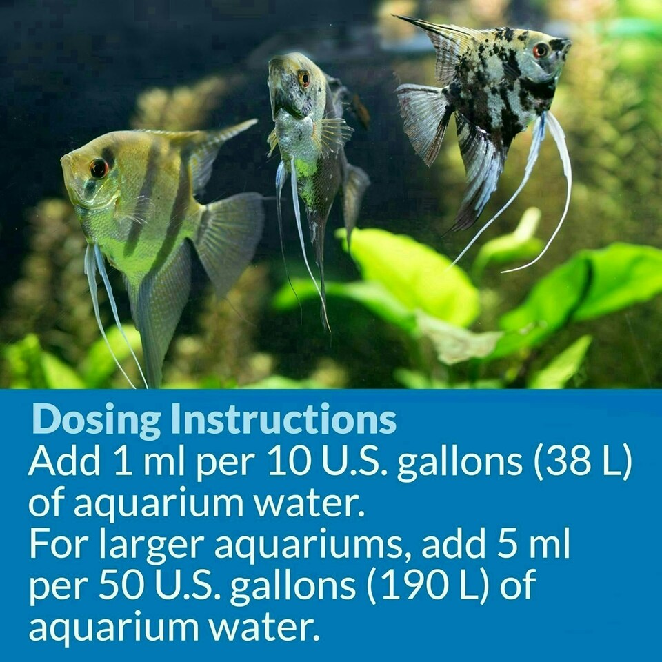 image 1 of API ACCU-CLEAR Freshwater Aquarium Water Clarifier 118 ml Bottle