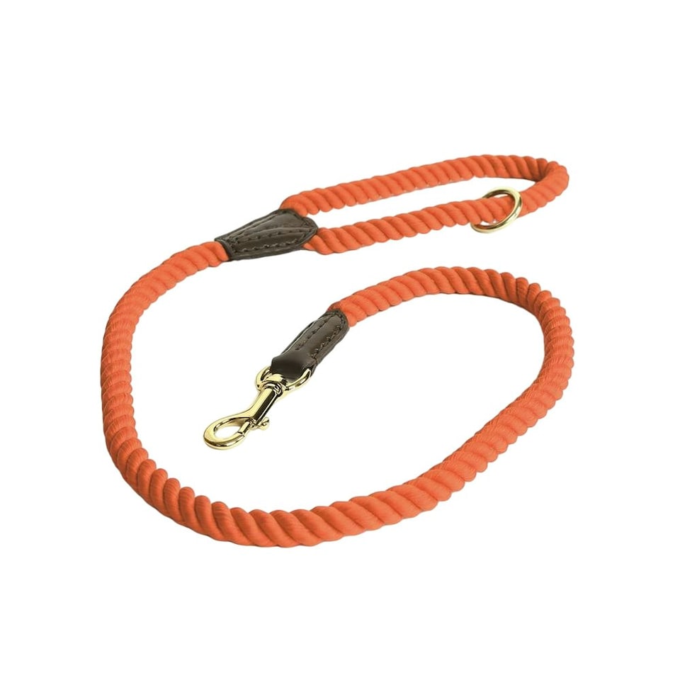 image 1 of Digby & Fox Twisted Dog Lead - Orange - One Size