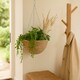 image 3 of Green Blade Rope Hanging Basket - 30cm - Planter Flower Pot Plant Pot Hanger Brown
