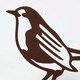 image 3 of Homescapes Steel Robin Fence Topper Brown