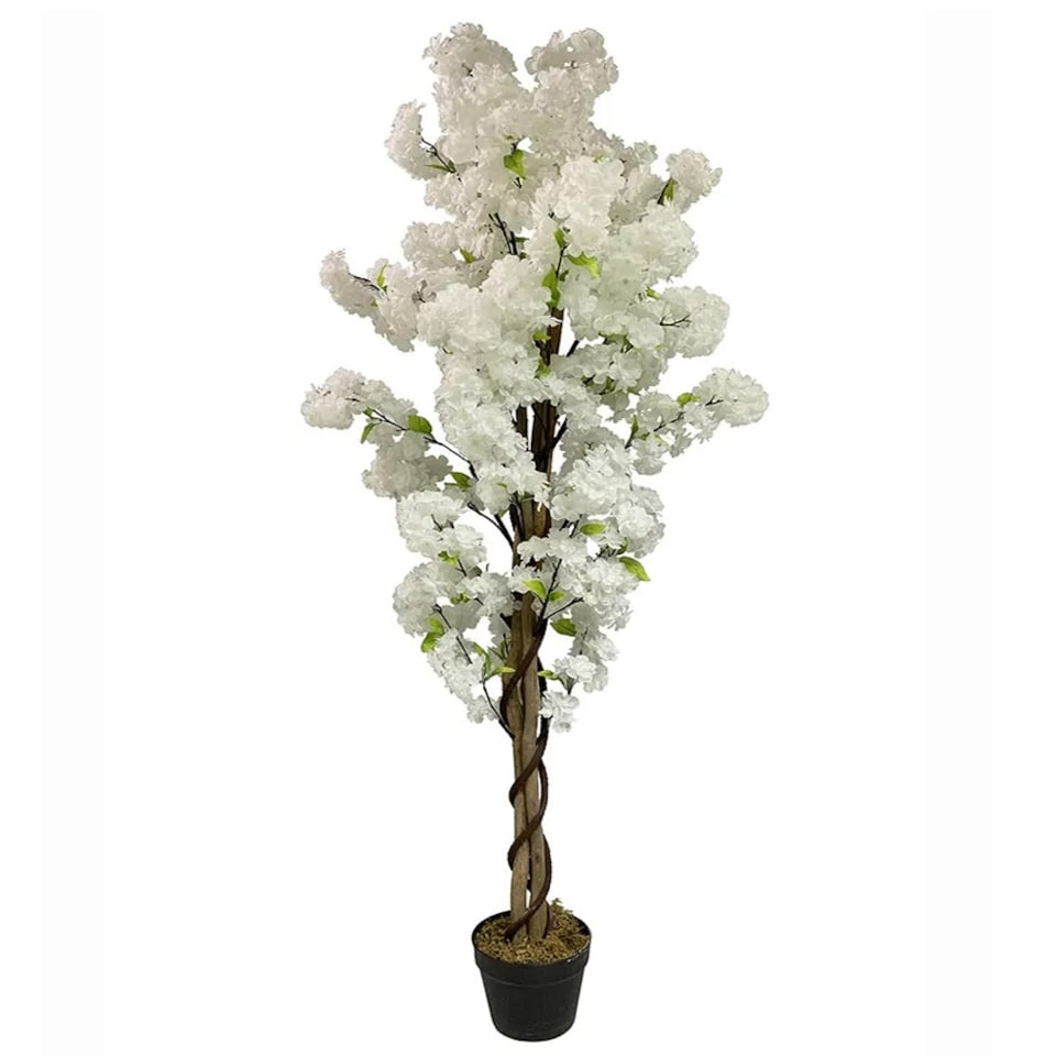 image 1 of 150cm Artificial White Blossom Tree
