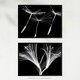 image 5 of Set of 2 Dandelion Lily X-Ray Bedroom Bathroom Black White Photo Wall Art Print A4