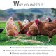 image 7 of PawHut Automatic Chicken Feeder Galvanized Steel Poultry Feeders 11.5KG