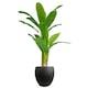 image 2 of 43cm Inoke Embossed Large Grey Composite Planter Plant Pot