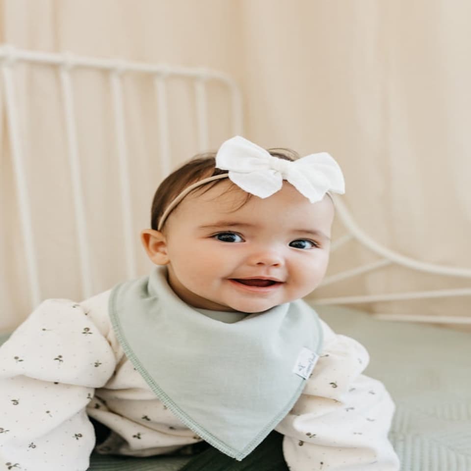 image 1 of Copper Pearl Bibs Rex 4Pk