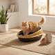 image 2 of Oval Cat Litter Tray Box with Rim | Yellow | 1