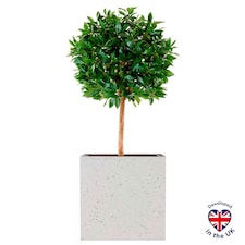 Square Box Grey Marble Light Concrete Garden Planter H40 L40 W40 cm, 65 ltrs Cap.