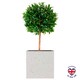 image 1 of Square Box Grey Marble Light Concrete Garden Planter H40 L40 W40 cm, 65 ltrs Cap.